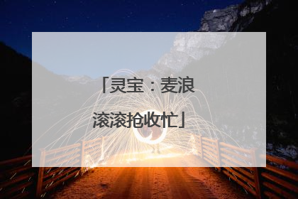 灵宝：麦浪滚滚抢收忙