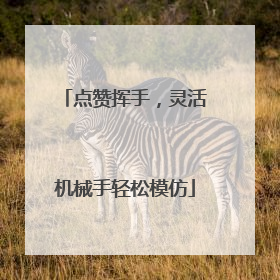 点赞挥手，灵活机械手轻松模仿