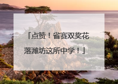 点赞！省赛双奖花落潍坊这所中学！