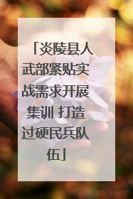 炎陵县人武部紧贴实战需求开展集训 打造过硬民兵队伍