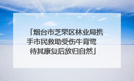 烟台市芝罘区林业局携手市民救助受伤牛背鹭 待其康复后放归自然