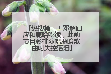 热搜第一！邓超回应和鹿晗吃饭，此前节目彩排演唱鹿晗歌曲时失控落泪