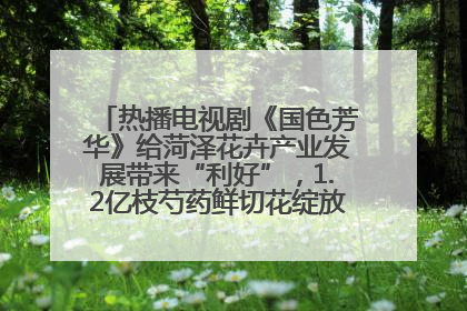 热播电视剧《国色芳华》给菏泽花卉产业发展带来“利好”，1.2亿枝芍药鲜切花绽放“国色芳华”
