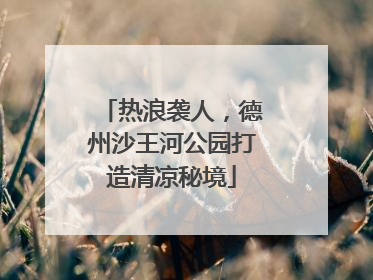 热浪袭人，德州沙王河公园打造清凉秘境