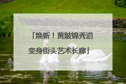 焕新！黄陂锦秀道变身街头艺术长廊