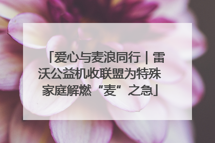 爱心与麦浪同行｜雷沃公益机收联盟为特殊家庭解燃“麦”之急