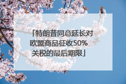特朗普同意延长对欧盟商品征收50%关税的最后期限