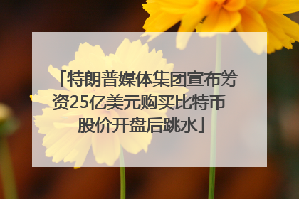 特朗普媒体集团宣布筹资25亿美元购买比特币 股价开盘后跳水