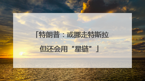 特朗普：或挪走特斯拉 但还会用“星链”