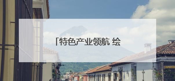 特色产业领航 绘就外贸发展新画卷
