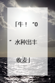 牛！“0”水种出丰收麦