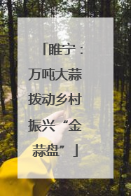 睢宁：万吨大蒜拨动乡村振兴“金蒜盘”