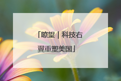 瞭望|科技右翼重塑美国