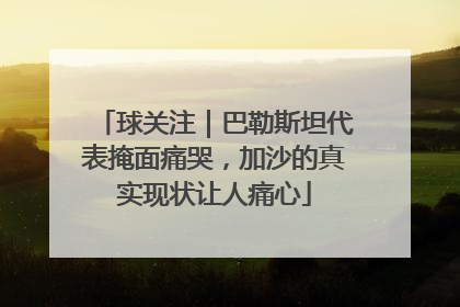 球关注｜巴勒斯坦代表掩面痛哭，加沙的真实现状让人痛心