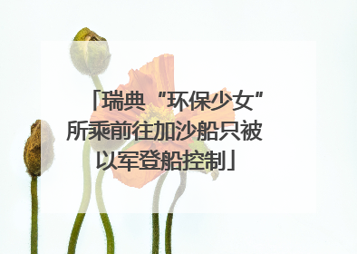 瑞典“环保少女”所乘前往加沙船只被以军登船控制