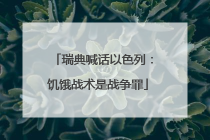 瑞典喊话以色列：饥饿战术是战争罪