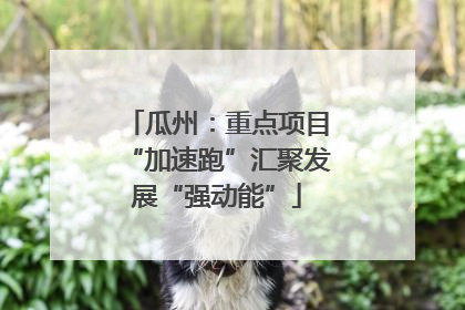 瓜州：重点项目“加速跑”汇聚发展“强动能”
