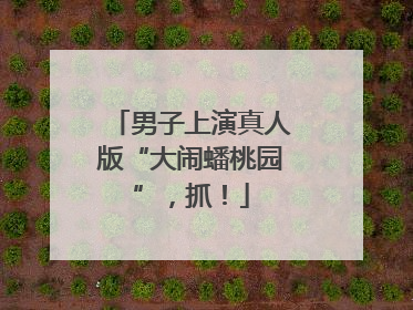 男子上演真人版“大闹蟠桃园”，抓！