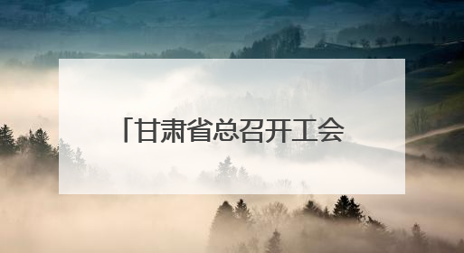 甘肃省总召开工会联系引导社会组织工作现场推进会