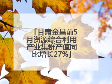甘肃金昌前5月资源综合利用产业集群产值同比增长27%