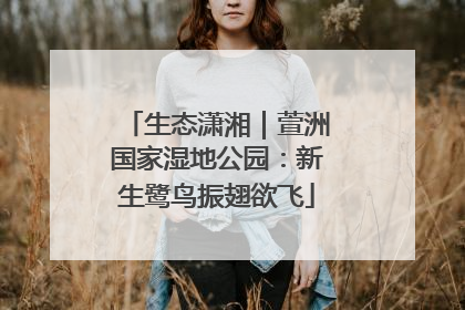 生态潇湘｜萱洲国家湿地公园：新生鹭鸟振翅欲飞