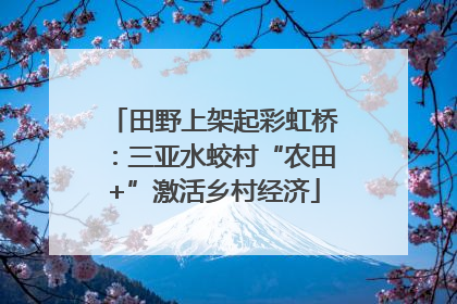 田野上架起彩虹桥：三亚水蛟村“农田+”激活乡村经济