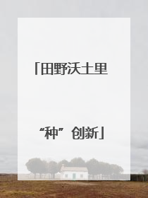 田野沃土里“种”创新