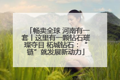 畅卖全球 河南有一套丨这里有一颗钻石璀璨夺目 柘城钻石：“链”就发展新动力