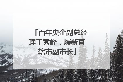 百年央企副总经理王秀峰，履新直辖市副市长