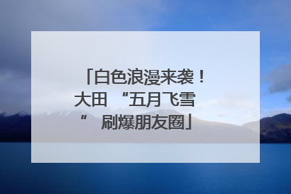 白色浪漫来袭！大田 “五月飞雪” 刷爆朋友圈