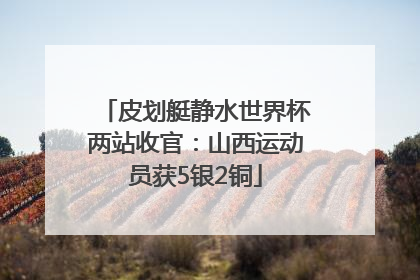 皮划艇静水世界杯两站收官：山西运动员获5银2铜