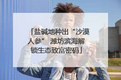 盐碱地种出“沙漠人参” 潍坊滨海解锁生态致富密码