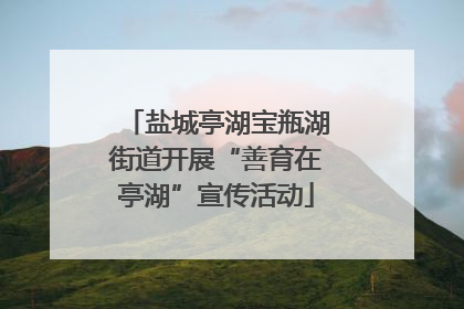 盐城亭湖宝瓶湖街道开展“善育在亭湖”宣传活动