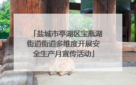盐城市亭湖区宝瓶湖街道街道多维度开展安全生产月宣传活动