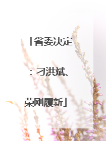 省委决定：刁洪斌、荣刚履新