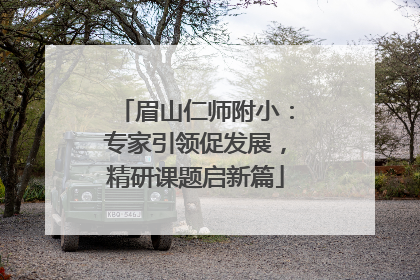 眉山仁师附小：专家引领促发展，精研课题启新篇