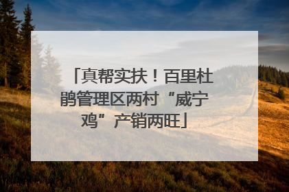 真帮实扶！百里杜鹃管理区两村“威宁鸡”产销两旺
