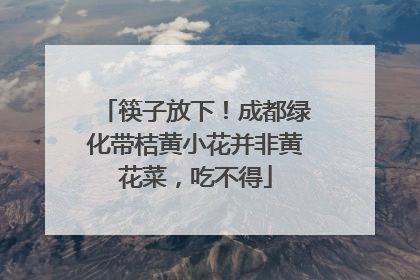 筷子放下！成都绿化带桔黄小花并非黄花菜，吃不得