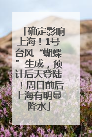 确定影响上海！1号台风“蝴蝶”生成，预计后天登陆！周日前后上海有明显降水