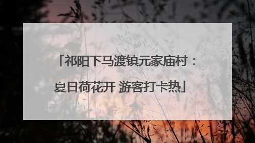 祁阳下马渡镇元家庙村：夏日荷花开 游客打卡热