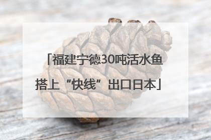 福建宁德30吨活水鱼搭上“快线”出口日本
