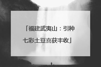 福建武夷山：引种七彩土豆喜获丰收