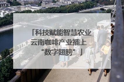 科技赋能智慧农业 云南咖啡产业插上“数字翅膀”