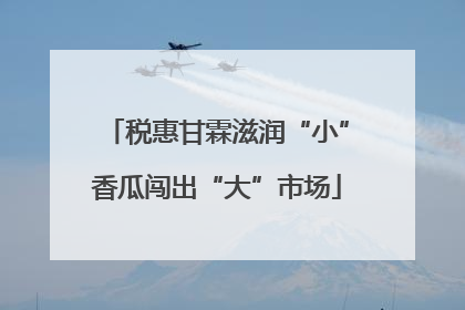 税惠甘霖滋润“小”香瓜闯出“大”市场