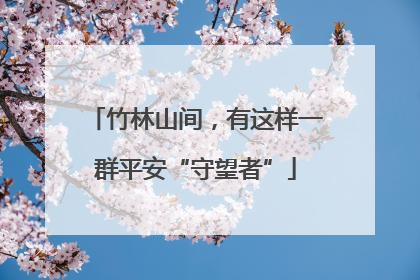 竹林山间，有这样一群平安“守望者”