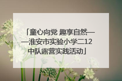 童心向党 趣享自然——淮安市实验小学二12中队露营实践活动