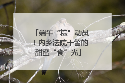 端午“粽”动员！内乡法院干警的甜蜜“食”光