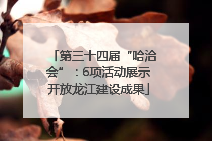 第三十四届“哈洽会”：6项活动展示开放龙江建设成果