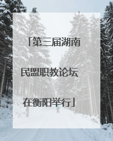 第三届湖南民盟职教论坛在衡阳举行