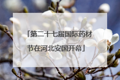 第二十七届国际药材节在河北安国开幕